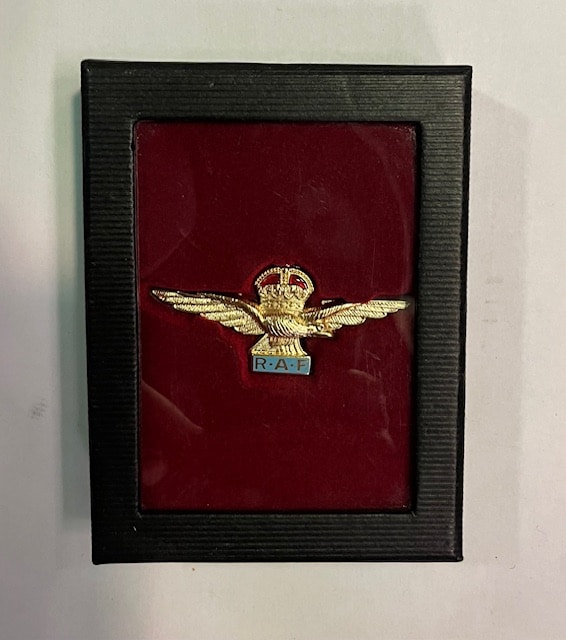 Embleem R A F Pilot Badge