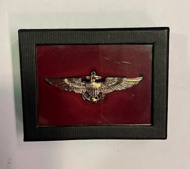 Embleem U S Navy Aviator Piloten