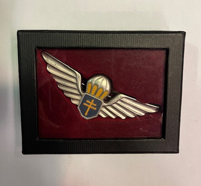 Embleem Luchtlandinseenheden